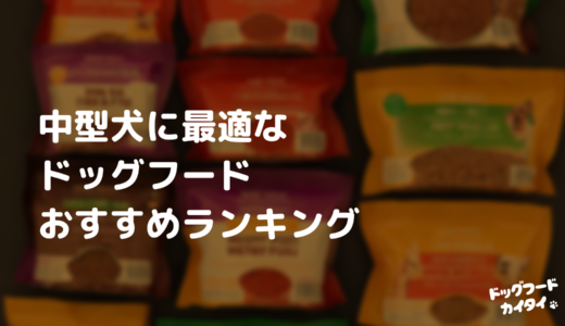 中型犬に最適なドッグフードおすすめランキング【2024最新】