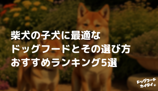 柴犬の子犬に最適なドッグフードとその選び方：おすすめランキング5選【2024最新】