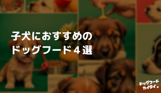 子犬におすすめのドッグフード４選｜市販で手に入る高品質フード【2024最新】