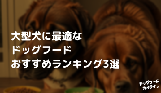 大型犬に最適なドッグフードおすすめランキング3選【2024最新】