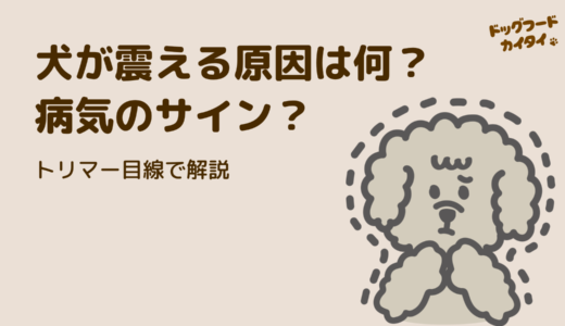 愛犬が小刻みに震える…病気のサイン？トリマーが解説する原因と対処法